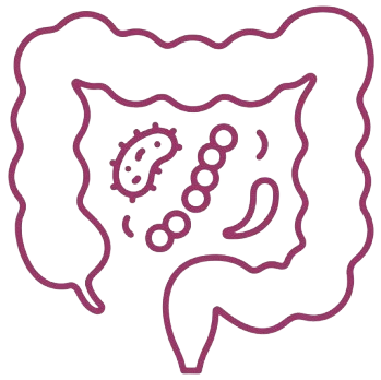 Darm & Mikrobiom — BK Gesundheitspraxis