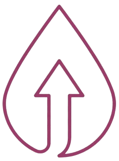 Entgiftung & Detox — BK Gesundheitspraxis