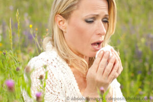 Pollenflug: Starke Belastung durch Gräser- und Roggenpollen!